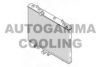 CITRO 133350 Radiator, engine cooling